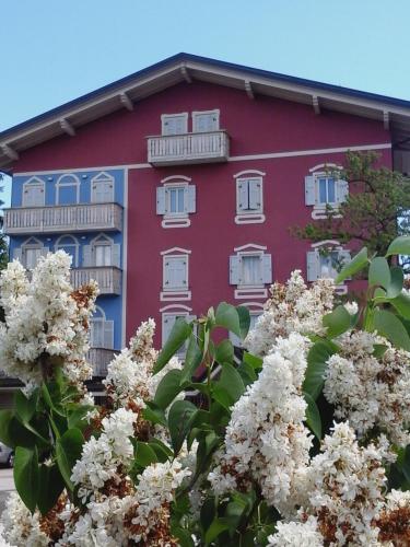 Gallery image of Miramonti B&B cucina e pizza in Brentonico
