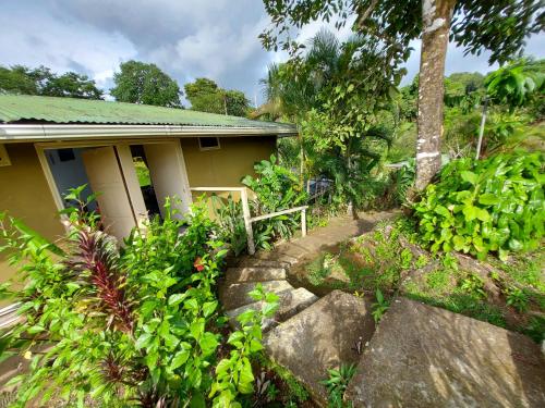 Ein Garten an der Unterkunft Casita Génesis - Bahia Drake Bay