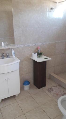 ein Bad mit einem Waschbecken, einem WC und einer Dusche in der Unterkunft Apartamento La Felicidad in Tandil