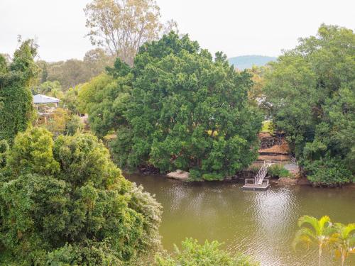 a river with a boat in the middle of trees at Nightcap at Hinterland Hotel Nerang in Gold Coast
