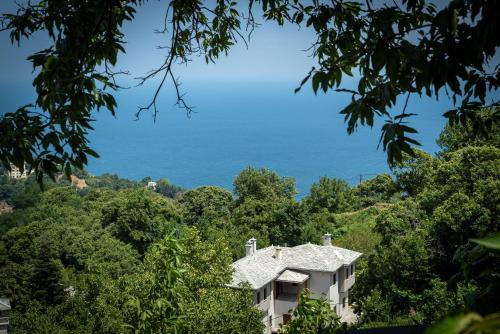 a house in the trees with the ocean in the background at Helene Eco Luxury Villa in Tsagarada