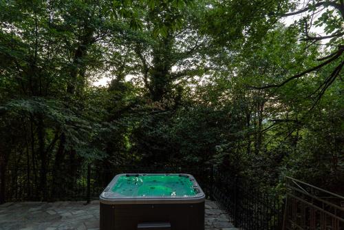 a green pond in front of a fence at Helene Eco Luxury Villa in Tsagarada
