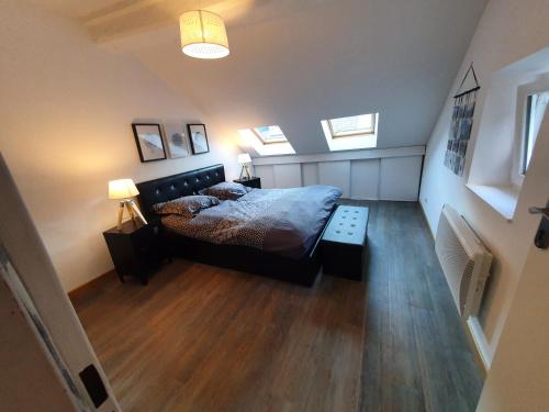 1 dormitorio con 1 cama y 2 tragaluces en Appartement spacieux en Salins-les-Bains