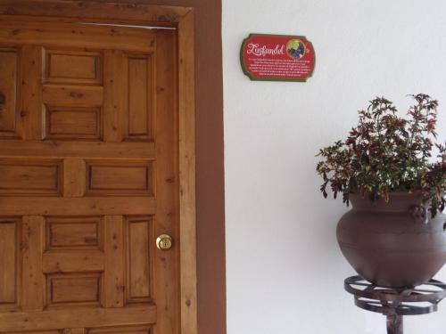 a door with a plant on a stand next to a vase at Hotel Casa de Vino in Tequisquiapan
