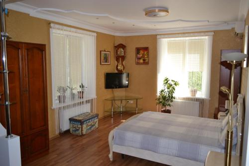 テルノーピリにあるExecutive suite in the centreのベッドルーム1室(ベッド1台、テレビ、窓2つ付)