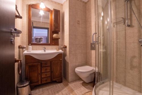uma casa de banho com um WC com lavatório e um chuveiro em Clabucet Studio em Predeal