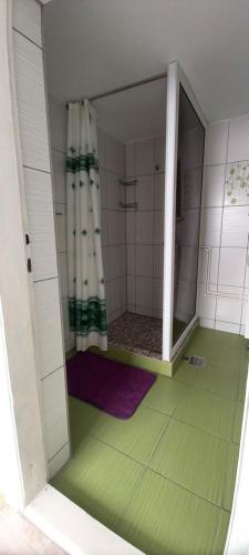a bathroom with a shower with a shower curtain at Casa la Catalin in Sulina