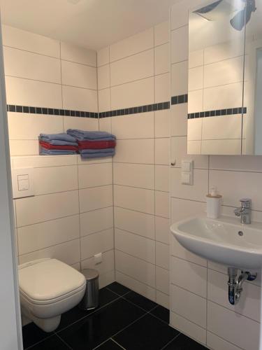 ein Bad mit einem WC und einem Waschbecken in der Unterkunft Ferienhaus Pfefferminzhütte in Mildenau