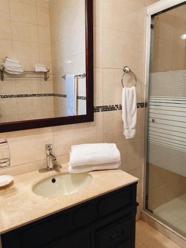 a bathroom with a sink and a shower at Tranquil Eagle Beach Condo, sleeps 4 to 6 in Palm-Eagle Beach