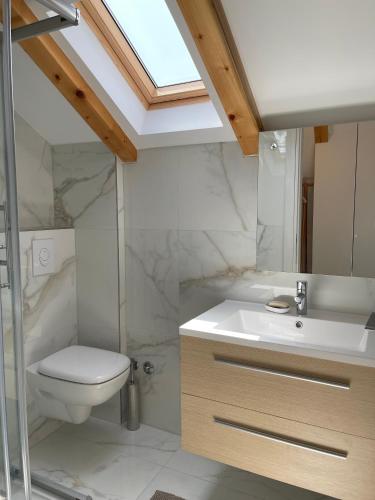 a bathroom with a toilet and a sink and a skylight at Villa Piscitelli in Cavtat
