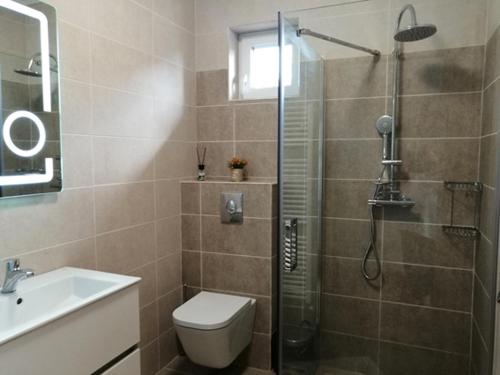 a bathroom with a shower and a toilet and a sink at Check-In Kaya in Sibiu