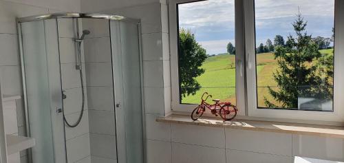 a bathroom with a glass shower and a window at Apartament Melania in Sarnowy