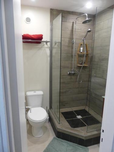 La salle de bains est pourvue d'une douche et de toilettes. dans l'établissement Pied à terre du front de mer, à Papeete