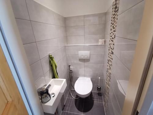 a small bathroom with a toilet and a sink at Leopoldauer Apartment in Vienna