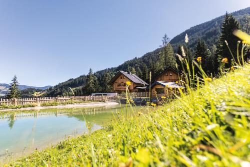 a cabin in the mountains next to a lake at Bergseegut Chalet und Apartment in Wagrain