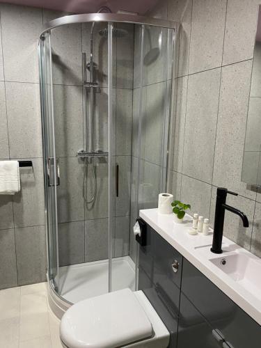 a bathroom with a shower with a toilet and a sink at Aaron Wise - 51 Fitzhamon Apartments in Cardiff