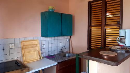 a kitchen with green cabinets and a sink at LEFOUXIOL in La Trinité