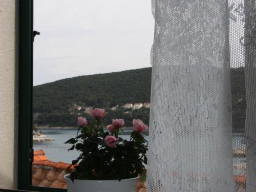 a potted plant with pink roses in a window at Apartments Sonja in Pučišća