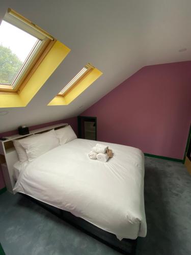 Aaron Wise - 51 Fitzhamon Apartments photo 34