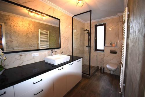 a bathroom with a sink and a toilet and a mirror at Luxury Apartment Central in Târgu-Mureş