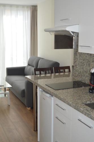 a kitchen and a living room with a couch at Apartamentos el Beyu in Cangas de Onís