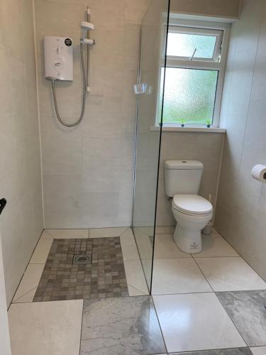 a bathroom with a shower and a toilet at Hillcrest House Self Catering Apartments in Donegal