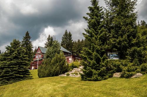 a house on top of a hill with trees at penzion Vysoká Stráž in Pec pod Sněžkou
