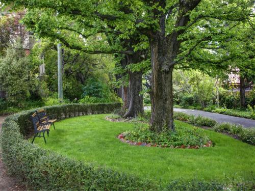 un banco del parque sentado en el césped bajo dos árboles en Graham Apartments, en Hobart