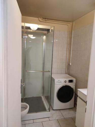 une machine à laver dans une salle de bain avec douche dans l'établissement Studio Galy, à Metz