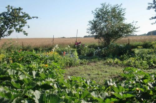 a garden in the middle of a field at Ferienwohnung Reinecke Brigitte Re in Zemitz