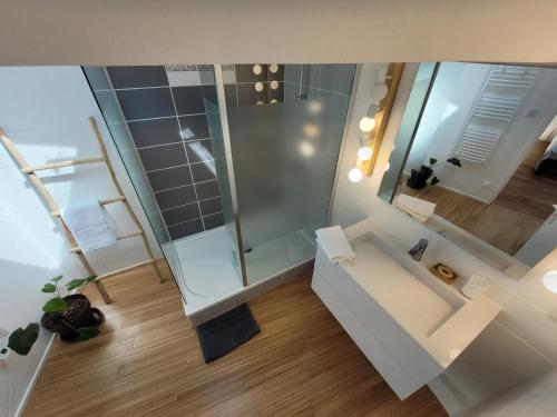 Blick auf ein Bad mit Dusche in der Unterkunft Duplex BULLES D'AIX terrasse centre historique in Aix-en-Provence