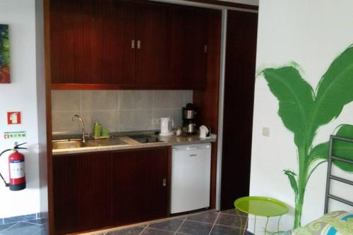 Dapur atau dapur kecil di studio veerle
