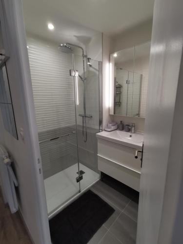 La salle de bains est pourvue d'une douche et d'un lavabo. dans l'établissement Boost Your Immo Les Deux Alpes Le Midi 502, à Les Deux Alpes
