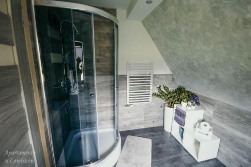 a bathroom with a shower with a glass door at Apartament u Łowiszów in Witów