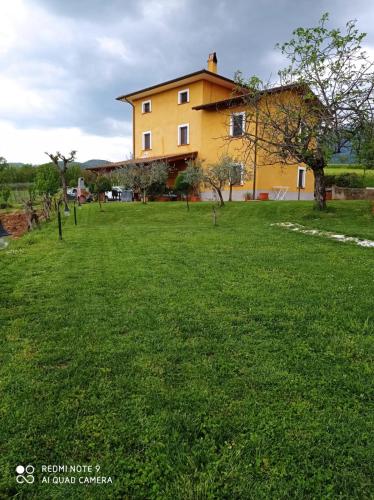 a yellow house in a field of green grass at Viale dei Ciliegi in Alvito