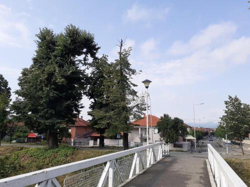 a bridge with two trees and a white fence at Apartman Nena in Pirot