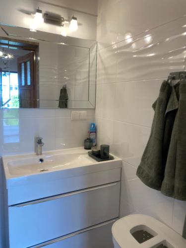 a bathroom with a sink and a mirror and a toilet at Domek pod lasem in Kołczygłowy