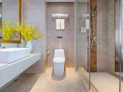 a bathroom with a toilet and a sink and a shower at Vienna International Hotel Hunan Chenzhou Qingnian Avenue in Chenzhou