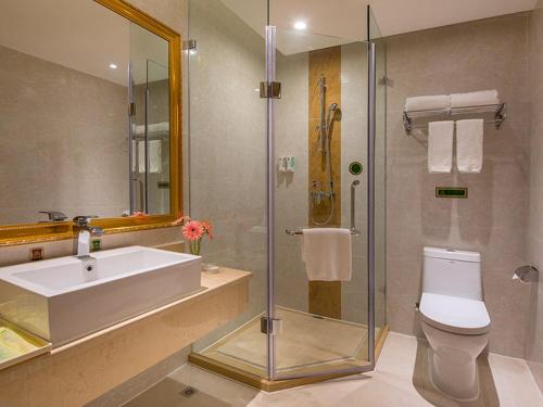 een badkamer met een toilet, een wastafel en een douche bij Vienna Hotel Shenzhen Nanshan Yilida in Shenzhen