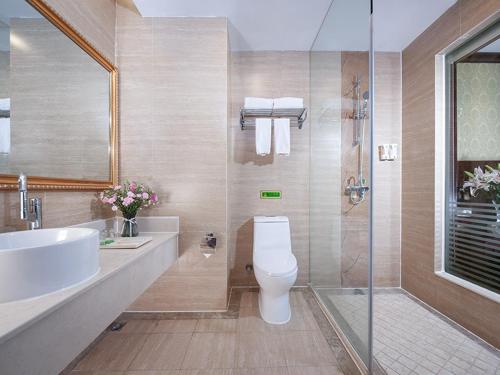 La salle de bains est pourvue de toilettes, d'un lavabo et d'une douche. dans l'établissement Vienna Hotel Guiyang Exhibition Center, à Guiyang