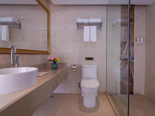 深圳的住宿－維也納酒店深圳羅芳店，浴室配有卫生间、盥洗盆和淋浴。