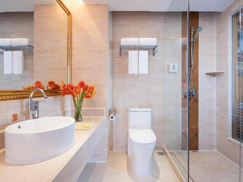 uma casa de banho com um WC, um lavatório e um chuveiro em Vienna Hotel Dongguan Tangxia Garden Street em Tangxia