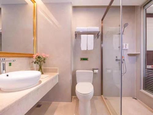 Gaozhou的住宿－維也納酒店廣東高州城東客運站店，浴室配有卫生间、盥洗盆和淋浴。