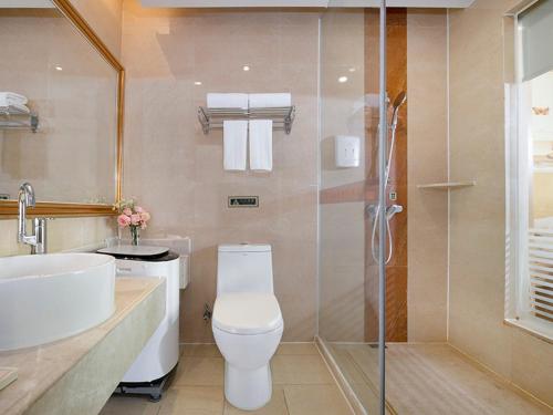 Vienna Hotel Huizhou Dahuxi في هويزو: حمام مع مرحاض ومغسلة ودش