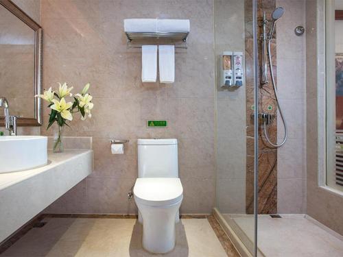 a bathroom with a toilet and a sink and a shower at Vienna International Hotel Shaoguan Fengcailou in Shaoguan