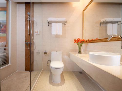 La salle de bains est pourvue de toilettes, d'un lavabo et d'une douche. dans l'établissement Vienna Hotel Shenzhen Lo Wu Control Point, à Shenzhen