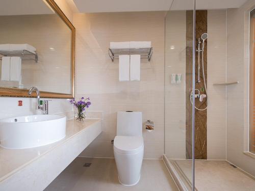 ein Bad mit einem Waschbecken, einem WC und einer Dusche in der Unterkunft Vienna Hotel Guangzhou Tianhe Bus Station in Guangzhou