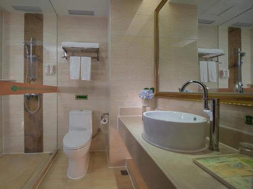 a bathroom with a sink and a toilet and a mirror at Vienna Hotel Chaozhou Plaza in Chaozhou