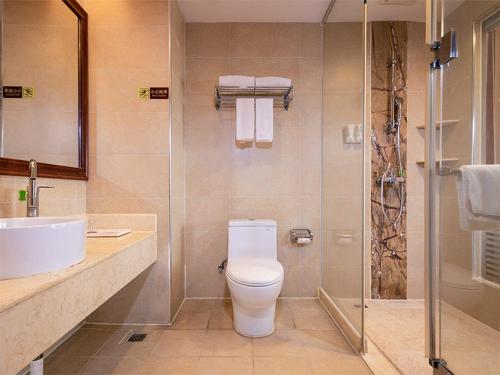 y baño con aseo, lavabo y ducha. en Vienna Hotel Dongguan Hou street Wanda Plaza, en Dongguan