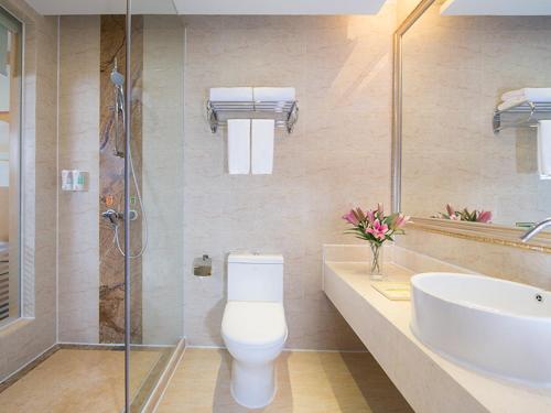 a bathroom with a toilet and a sink and a shower at Vienna Hotel Meizhou Jiangnan in Meizhou
